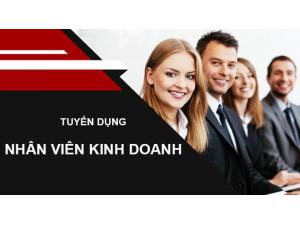 Cần tuyển NVKD Phân Phối Lĩnh Vực Máy Tính, Camera, Điện Tử tại Hà Nội, HCM, Đà Nẵng