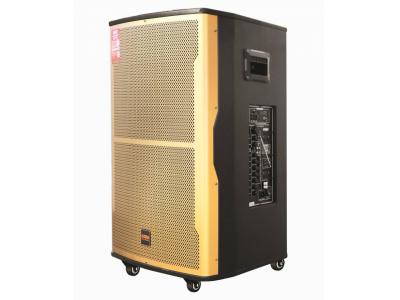LOA DI ĐỘNG KODA KD1866 PRO (2021) BASS 50 CAO CẤP